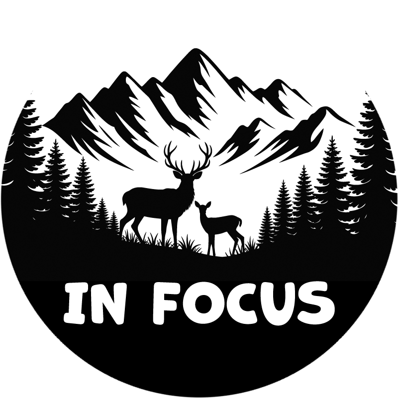 In-Focus